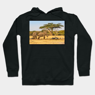 African Elephants, Hwange National Park, Zimabwe Hoodie